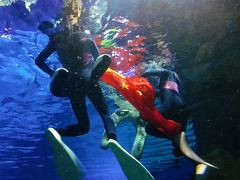 -福州罗源湾海洋世界旅游区