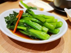 -南枝记