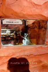 -Zoolung Zoolung动物主题公园(海信广场店)