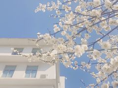 -南京信息职业技术学院