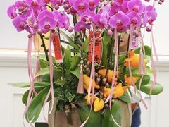 -F.Story 花和故事(新天地店)