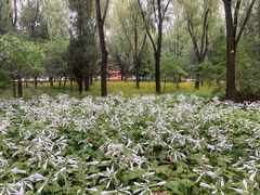 -森林公园(尖草坪区)