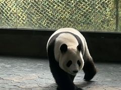 -上海野生动物园