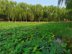 -东升八家郊野公园