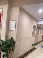 -碧莲盛·不剃发植发