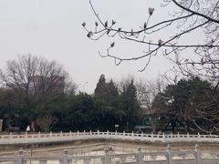 -丰台花园