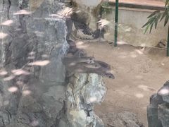 -荔城生鲜盛宴(番禺旗舰店)