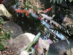 -聚缘堂·海鲜私房菜(松岭路店)