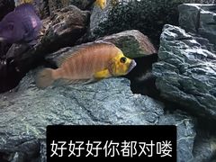 -河川生态园