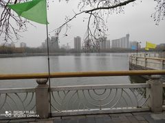 -莲花池公园