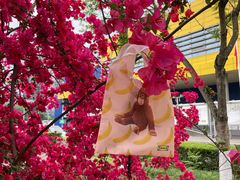 -宜家家居(高新商场店)