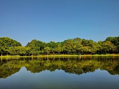 -东莞植物园