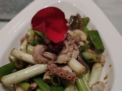 -海派美食·家宴海鲜青岛菜·石锅鲽鱼头(东方城店)