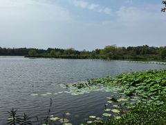 -东湖落雁景区