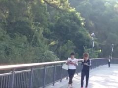 -金鸡山公园