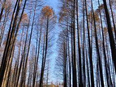 -山王坪喀斯特国家生态公园