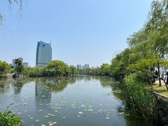 -无锡蠡湖国家湿地公园-蠡园