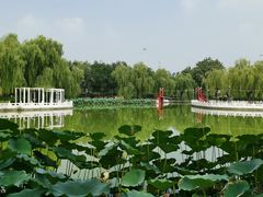 -丰台花园