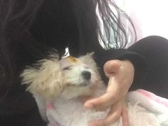 -宠颐生中康贝怡动物医院