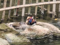-杭州西湖丝绸文化博物馆