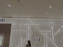 -DIOR迪奥(德基广场女装店)
