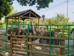 -苏州太湖西山岛开心农场