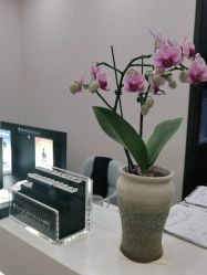 -加减美医美连锁品牌