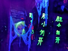 -横店影视城梦幻谷园区