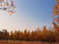 -东郊湿地公园
