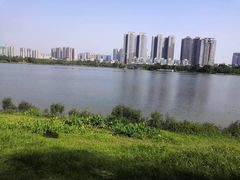 景点-飞来湖湿地公园