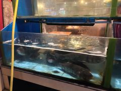 水产区-四娭毑(三王街店)