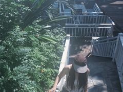 -卷心菜和避孕套餐厅(Pattaya)
