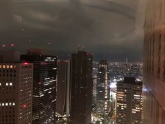 -东京都厅舍