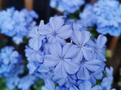 -稷泽·海丽宾雅温泉度假酒店