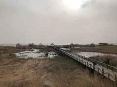 -哈素海