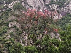 -雁荡山风景名胜区