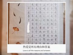 -赵汝飞练字硬笔书法(航头校区)