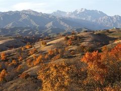 -中华福寿山
