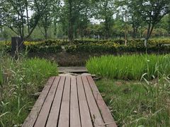 -长田漾湿地公园