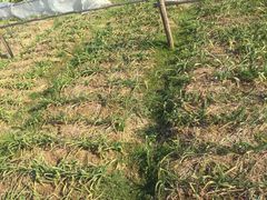 -呼吸森林·生态农庄农家乐私房菜