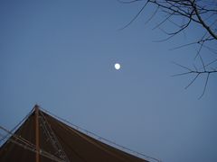 -百色大石围天坑群