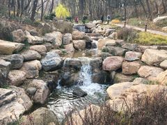 -大连植物园