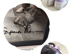 -纳吉亚猫专科动物诊疗中心(蒋宅口分院)