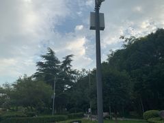 -神仙树公园
