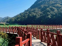 -广州市石门国家森林公园