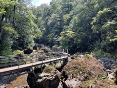 -龙苍沟森林公园