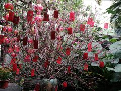 -汇景花园酒家(基立下道店)