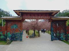 -玻璃桥景区石牛寨