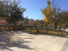 -山东大学(兴隆山校区)