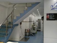 -伟伟宠物医院·CT影像中心·瑞派犬猫综合性门诊(汉口总院)
